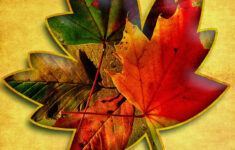 Digital Printables Autumn Leaves Free Scrapbooking Printable