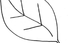 Download High Quality Leaf Clipart Outline Transparent PNG Images Art