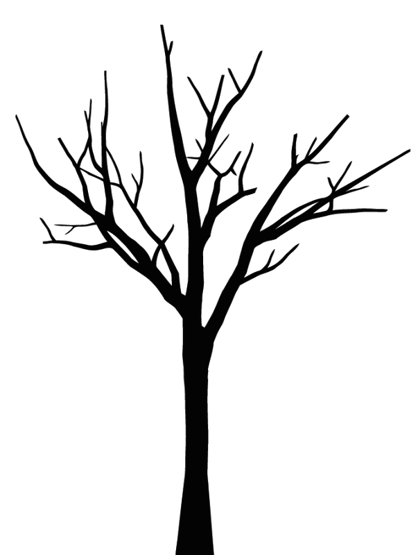 Drawing Tree Leaf Oak Sketch Tree Png Download 603 800 Free 