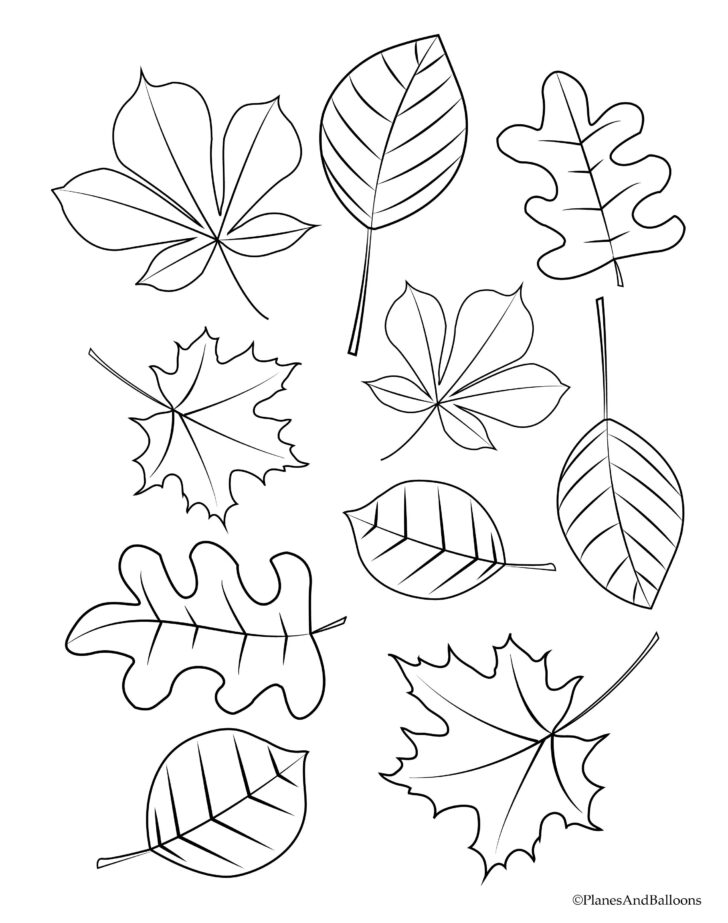 Printable Fall Leaves To Color