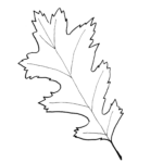 Fall Leaf Pattern Printables Just Paint It Blog