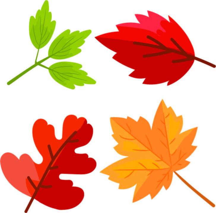 Fall Tree Leaves Template Printable