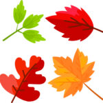 Fall Leaf Patterns Printable Fall Leaf Template Leaf Template