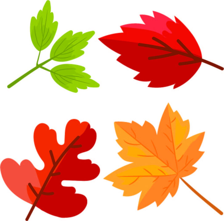 Printable Colorful Fall Leaves