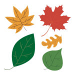 Fall Leaf Printouts 7 Best Fall Leaves Worksheets Printables Vida