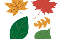 Fall Leaf Printouts 7 Best Fall Leaves Worksheets Printables Vida
