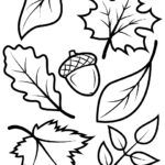 Fall Leave Coloring Pages Coloringpage One