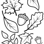 Fall Leaves Acorns Fall Leaves Coloring Pages Fall Coloring Pages