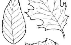 Fall Leaves Coloring Pages Best Coloring Pages For Kids