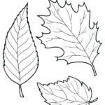 Fall Leaves Coloring Pages Best Coloring Pages For Kids