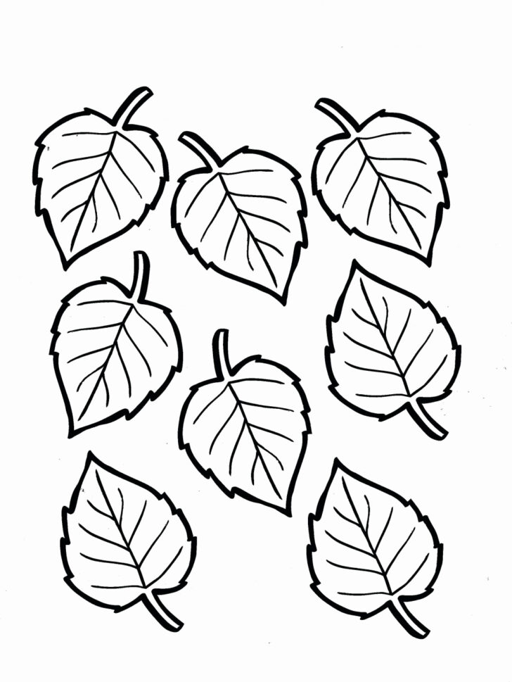 Leaves Colouring Printable