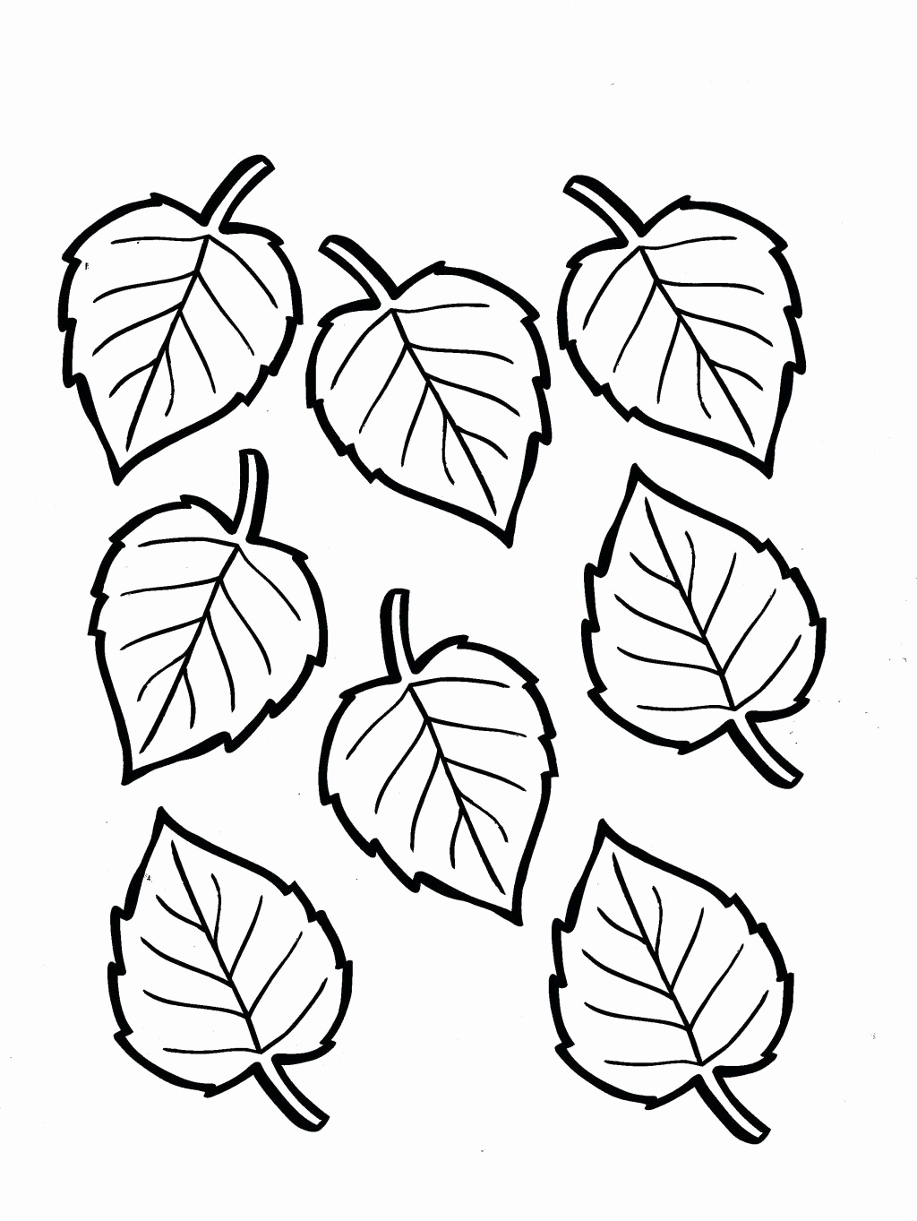 Fall Leaves Coloring Pages For Kindergarten At GetColorings Free 