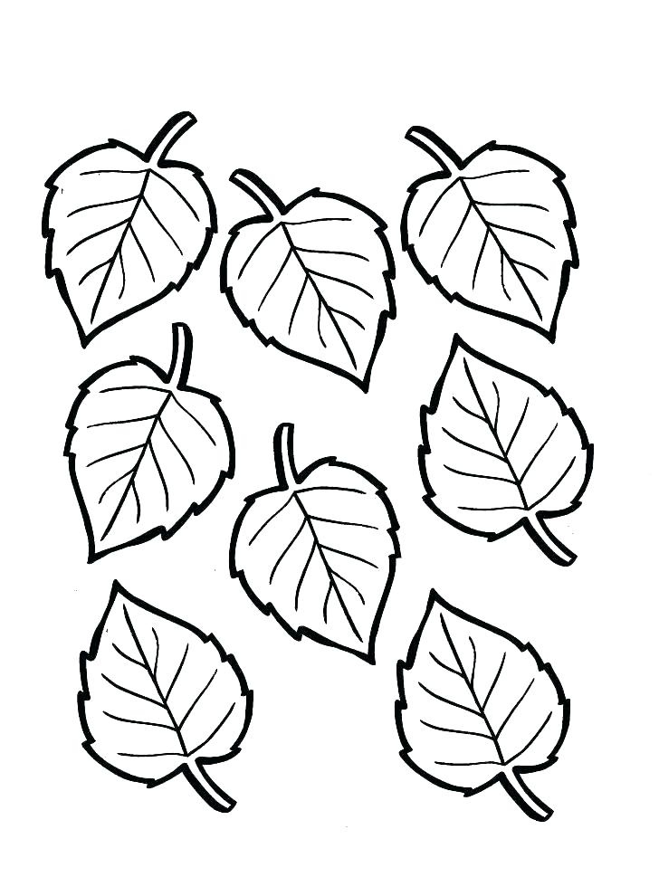 Fall Leaves Coloring Pages For Kindergarten At GetColorings Free 