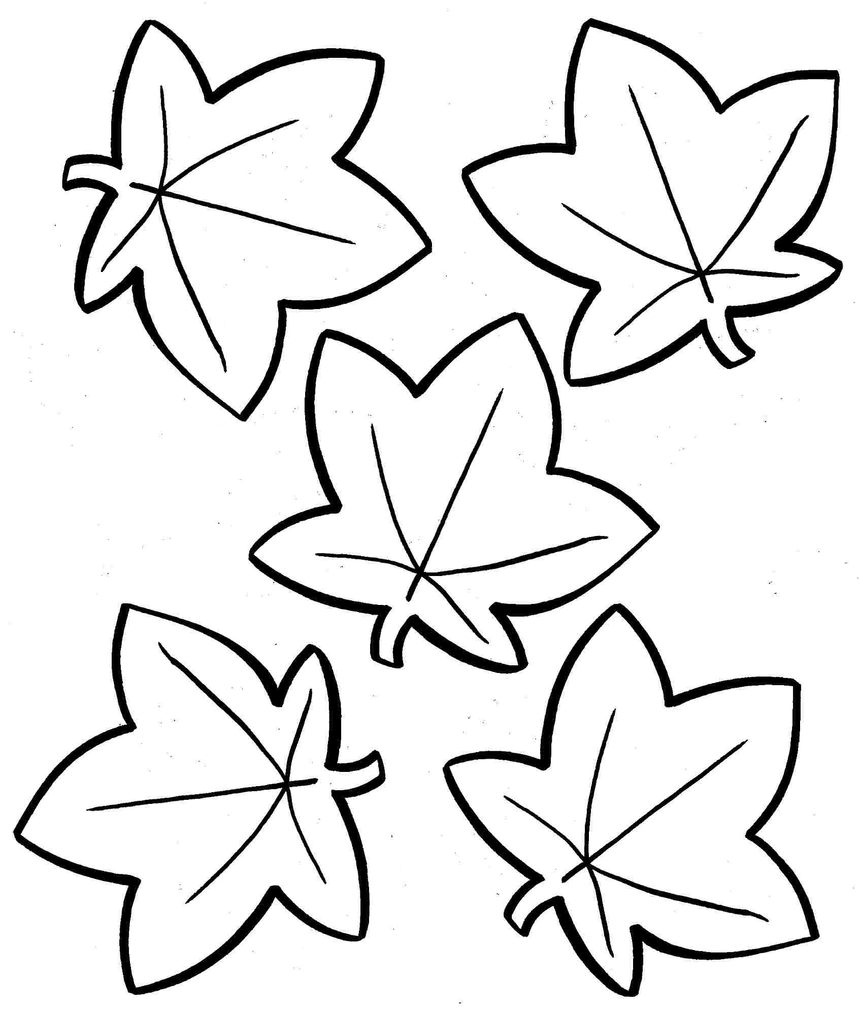 Fall Leaves Coloring Pages Printable Autumn Leaves Coloring Page 