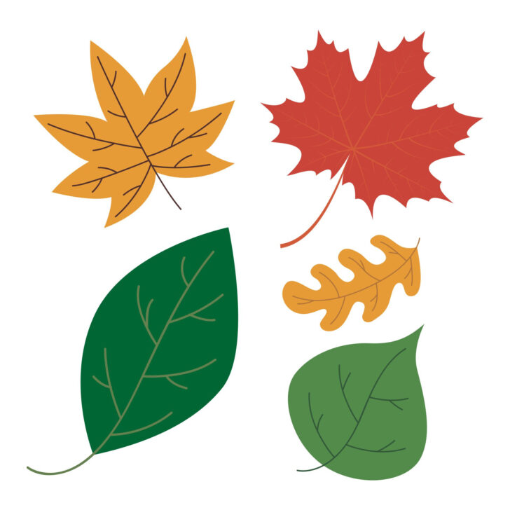 Printable Colored Leaves
