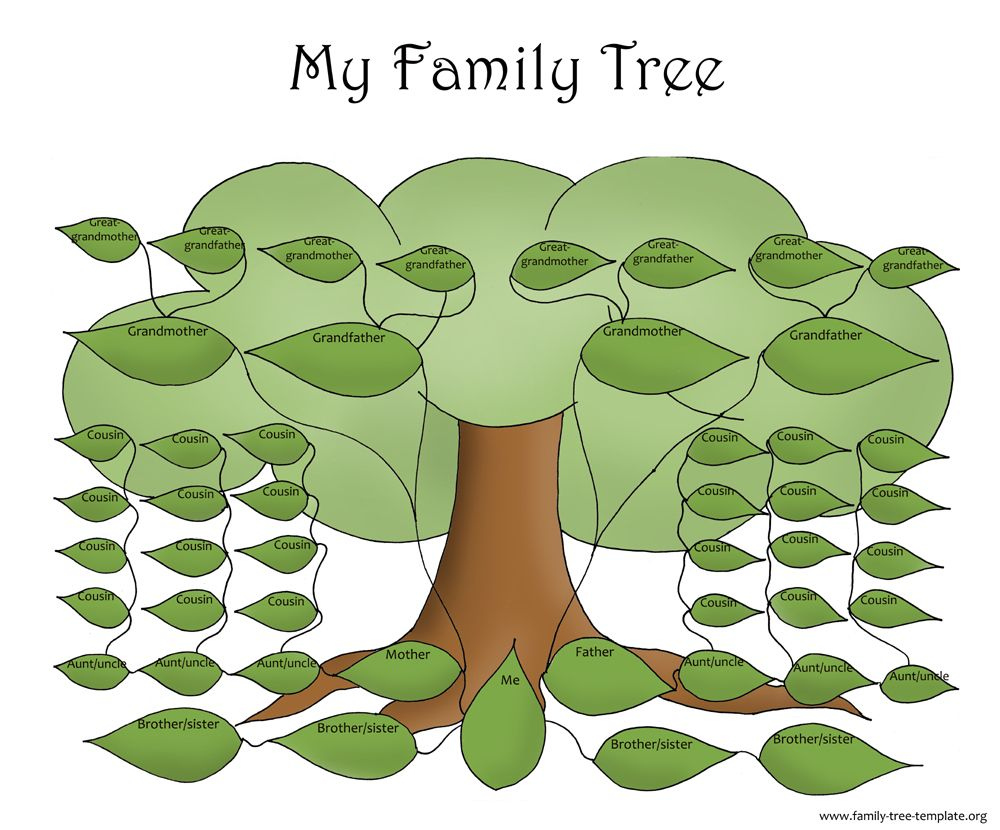 Family Tree Template Resources Family Tree Template Blank Family 