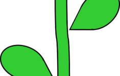 Flower With Stem Template ClipArt Best