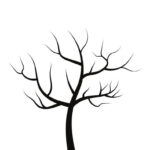 Free Blank Tree Template Printable For Kids Activities Perfect For