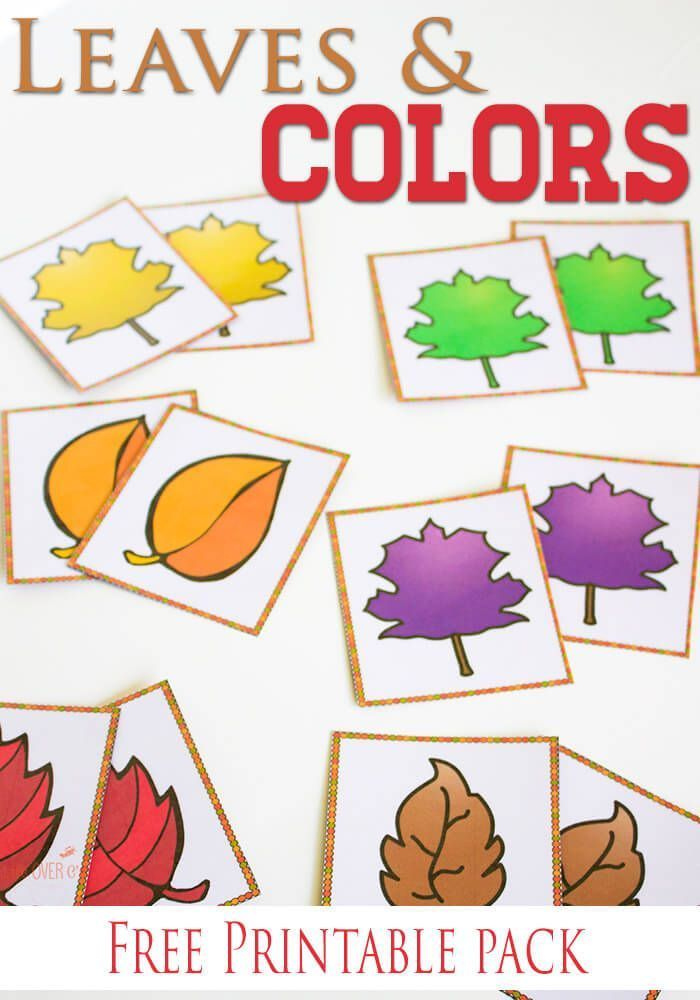 Free Fall Colors Printable Activities For Preschoolers Fall Preschool 