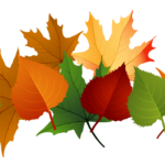 Free Fall Leaves Clip Art Cliparts Co