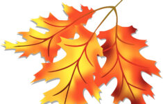 Free Fall Leaves Clip Art Download Free Fall Leaves Clip Art Png