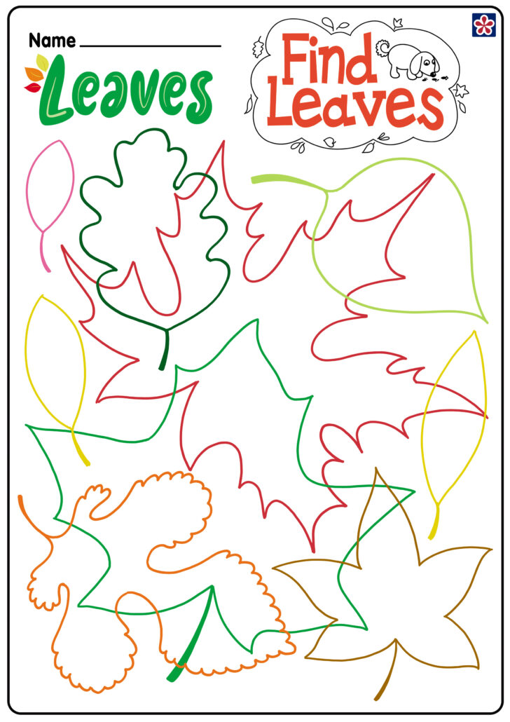 Fall Leaves Worksheets Printables