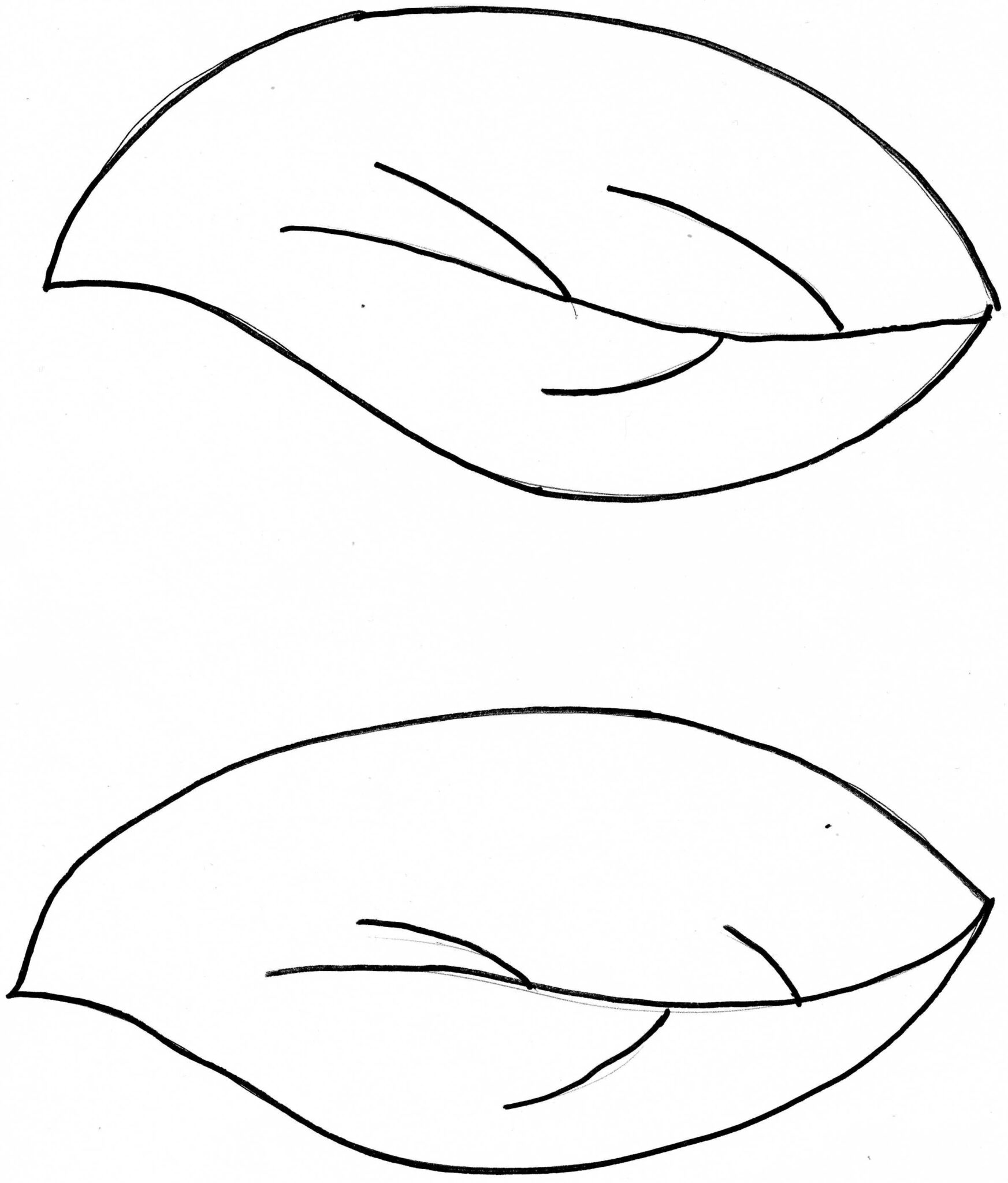 Free Flower Leaf Template Download Free Flower Leaf Template Png
