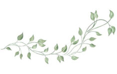 Free Form Vine Wall Stencil SKU 2931 By Designer Stencils Walmart