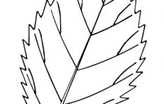 Free Leaf Cliparts Outline Download Free Leaf Cliparts Outline Png