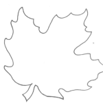 Free Leaf Template Download Free Leaf Template Png Images Free