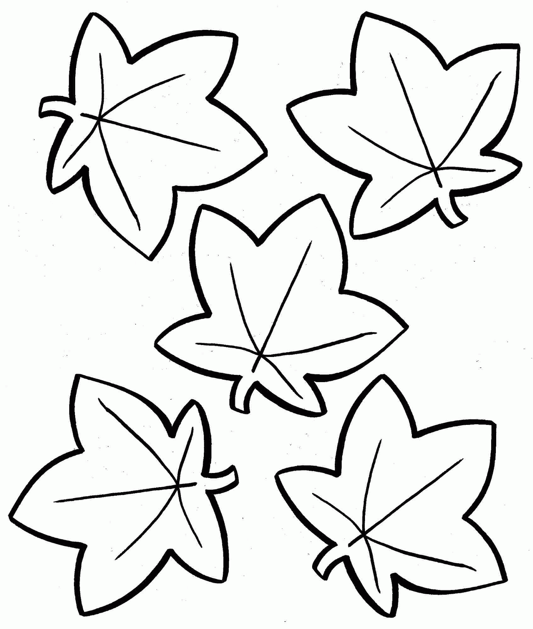 Free Leaves Coloring Pages To Print Download Free Leaves Coloring 