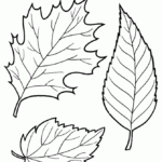 Free Leaves Coloring Pages To Print Download Free Leaves Coloring