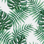 Free Photo Palm Leaf Background Abstract Nature Texture Free