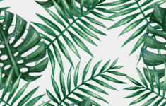 Free Photo Palm Leaf Background Abstract Nature Texture Free