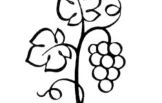 Free Pictures Of Grape Leaves Download Free Pictures Of Grape Leaves