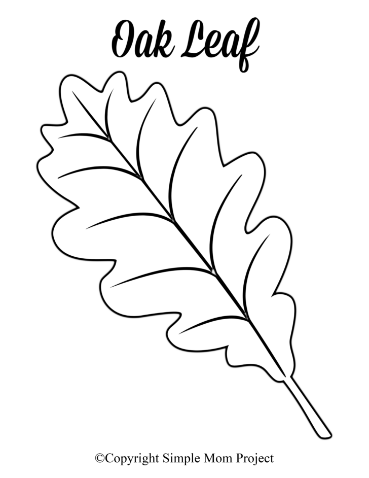 Template Of A Leaf Printable