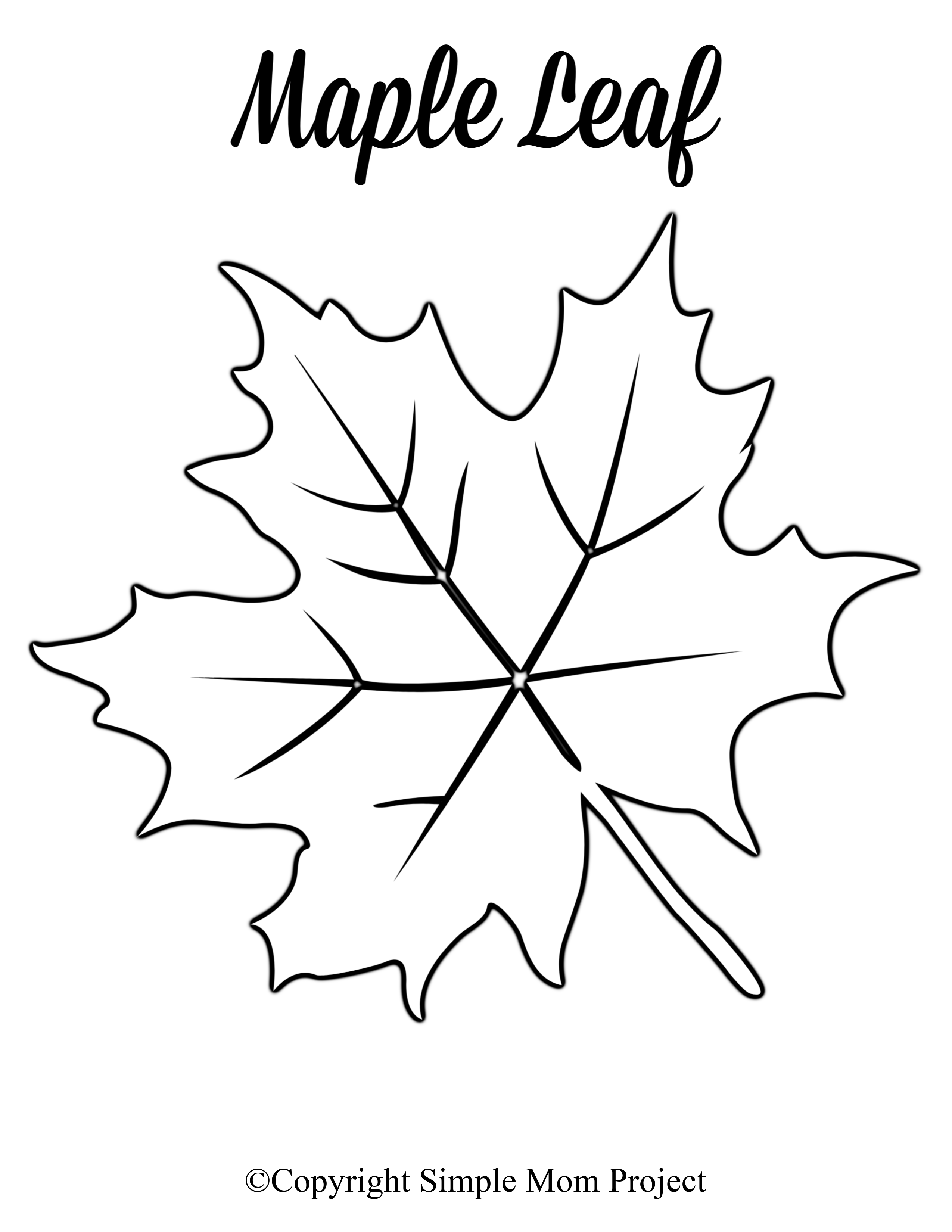 Free Printable Large Leaf Templates Stencils And Patterns