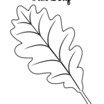 Free Printable Large Leaf Templates Stencils And Patterns Leaf