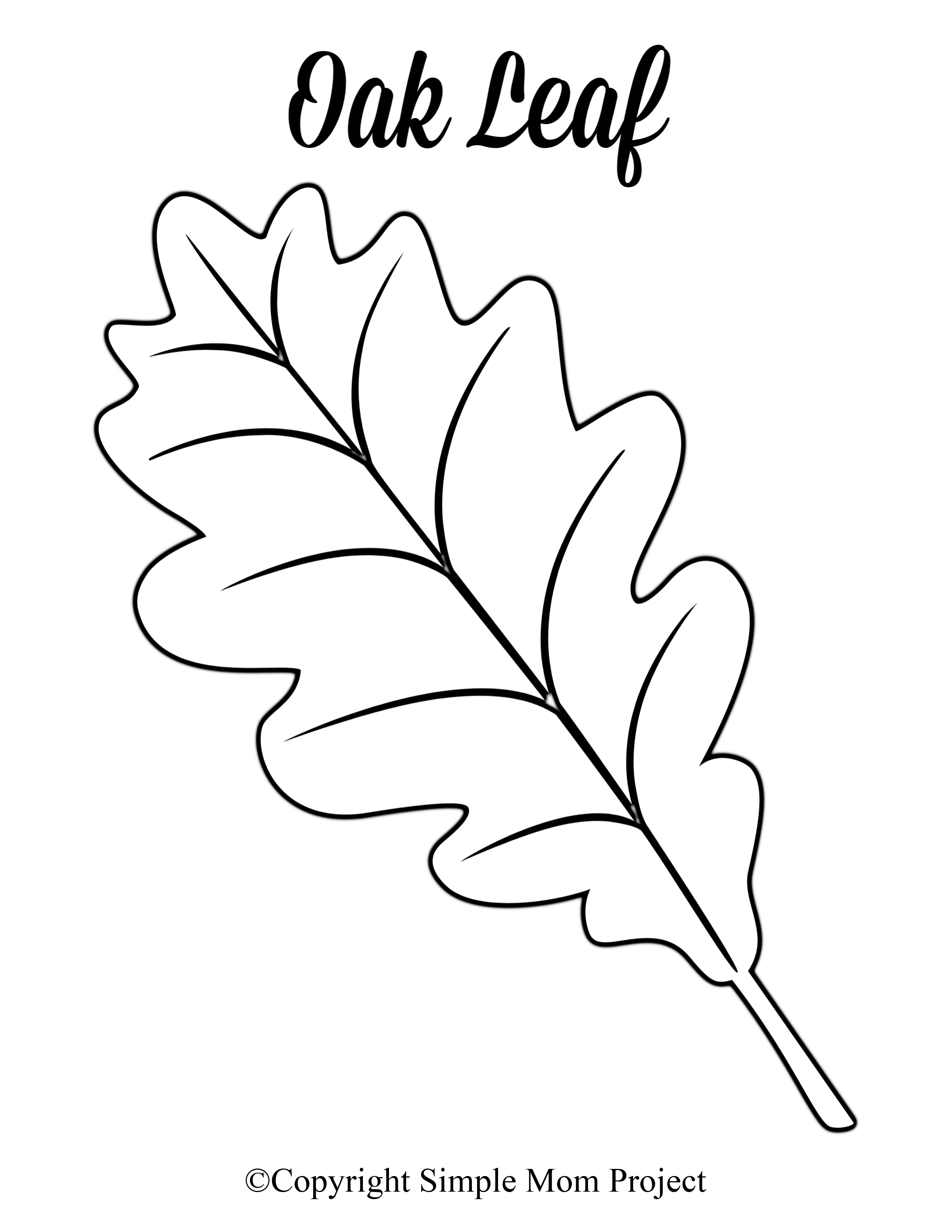 Free Printable Large Leaf Templates Stencils And Patterns Leaf 