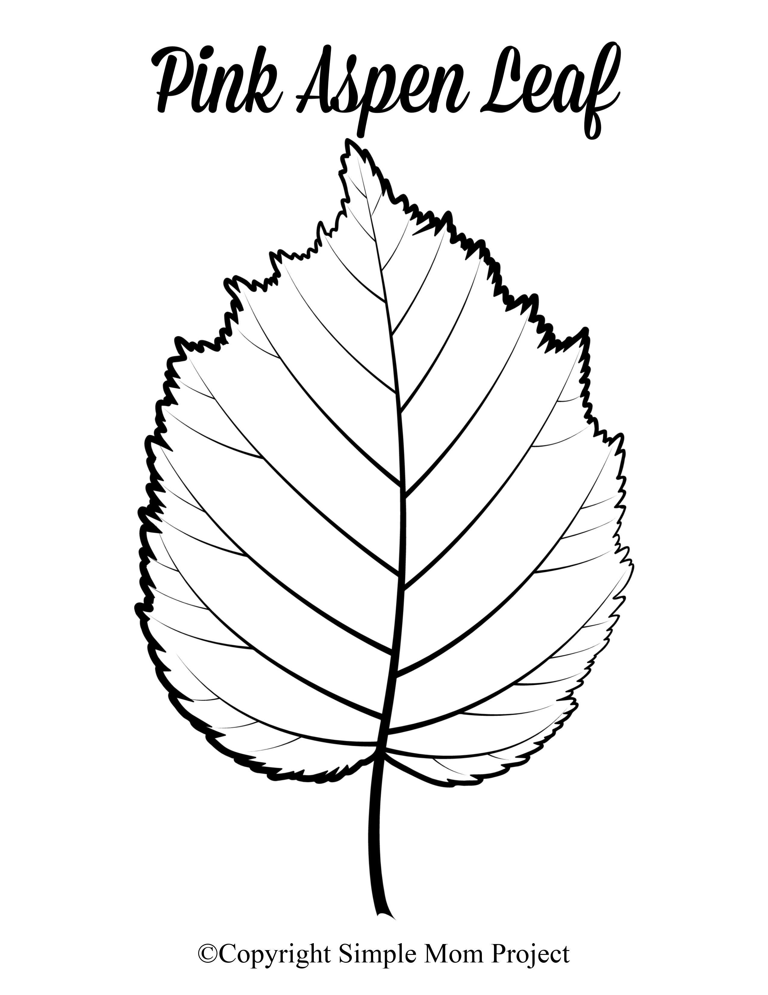 Free Printable Large Leaf Templates Stencils And Patterns Simple Mom 