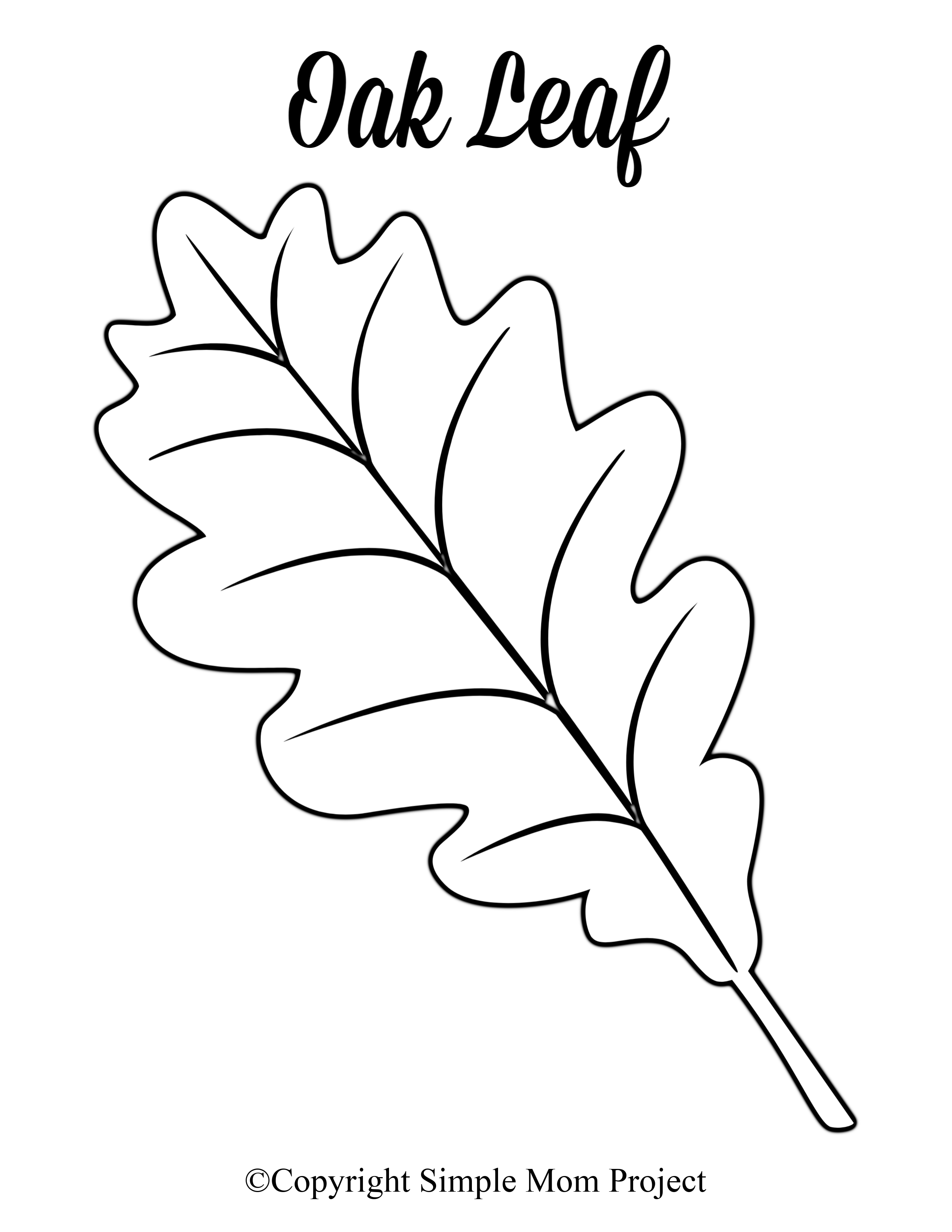 Large Leaf Templates Free Printable Printable Leaves Large Leaf Templates Free Printable Printable Leaves