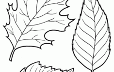 Free Printable Leaf Coloring Pages For Kids