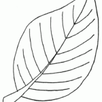 Free Printable Leaf Coloring Pages For Kids