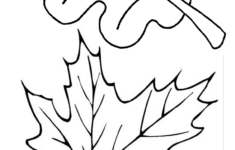 Free Printable Leaf Coloring Pages For Kids