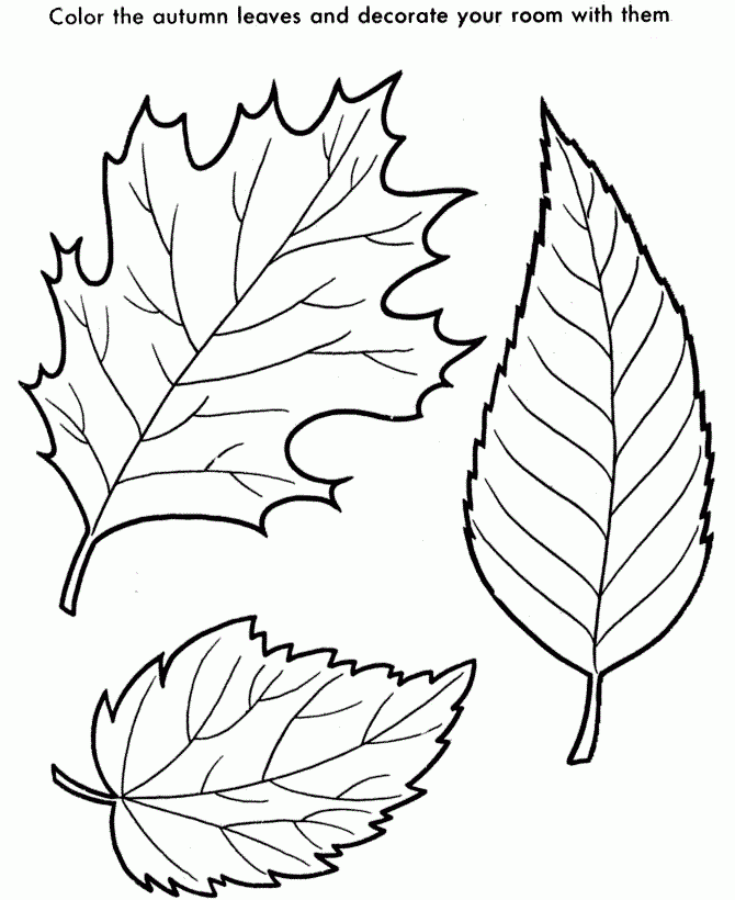 FREE Printable Pictures Of Leaves For Coloring