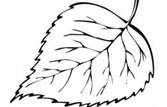 Free Printable Leaf Coloring Pages For Kids