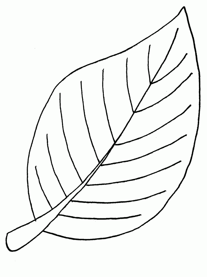 Free Printable Leaf Coloring Pages For Kids