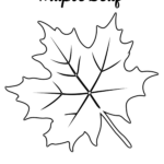 Free Printable Leaf Template PRINTABLE TEMPLATES