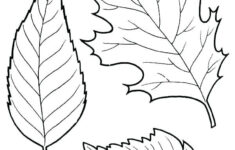 Free Printable Leaves Coloring Pages Jiu Jitsu Quotes Shark