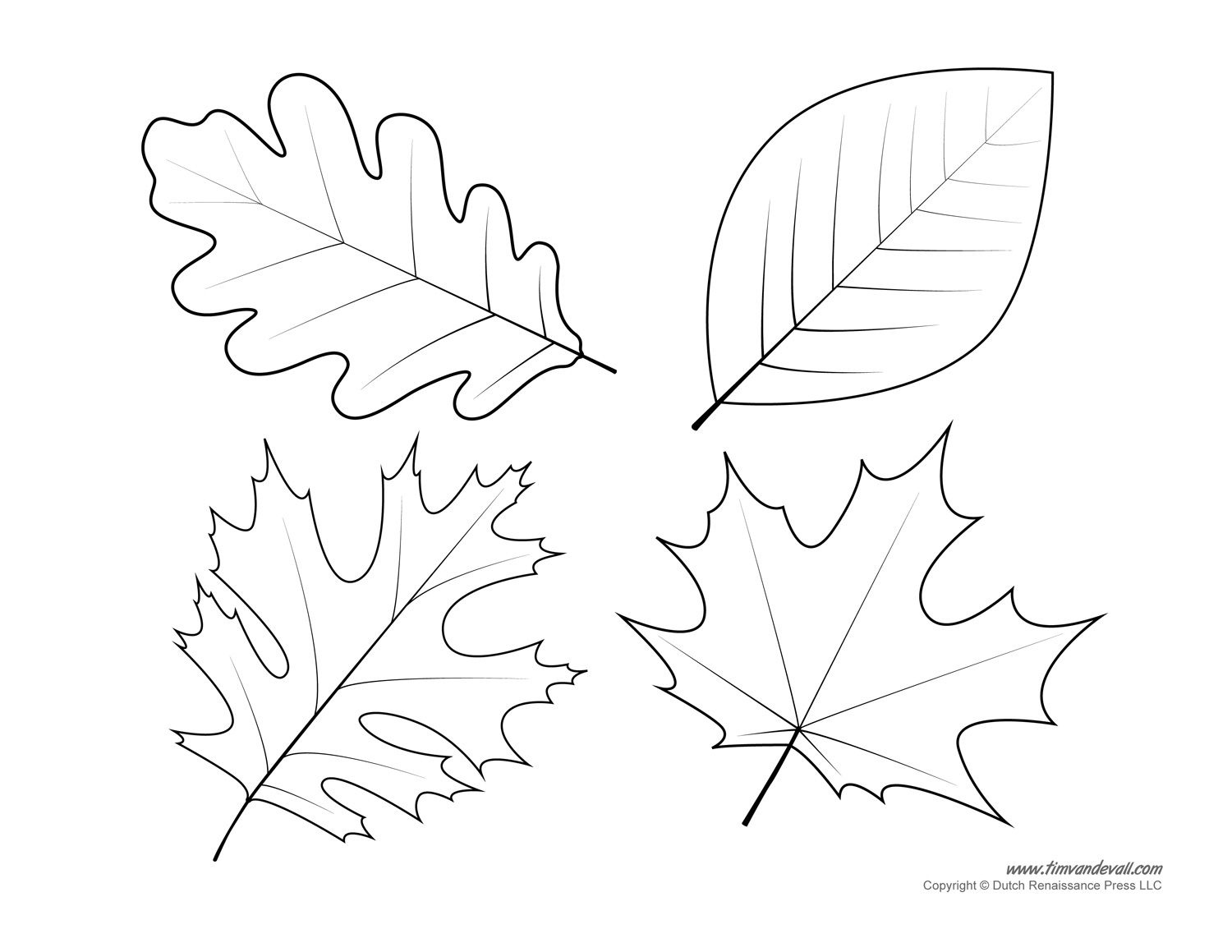 Free Printable Leaves Coloring Pages Jiu Jitsu Quotes Shark